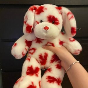 RARE patriot dog build a bear